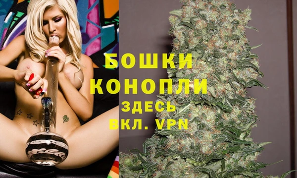 Альфа ПВП Богородск